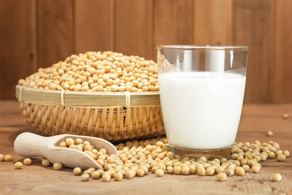 Fresh-Soy-Milk.webp